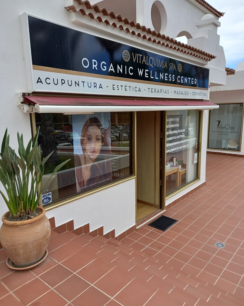 Vitalqvimia Organic Wellness Center & Spa
