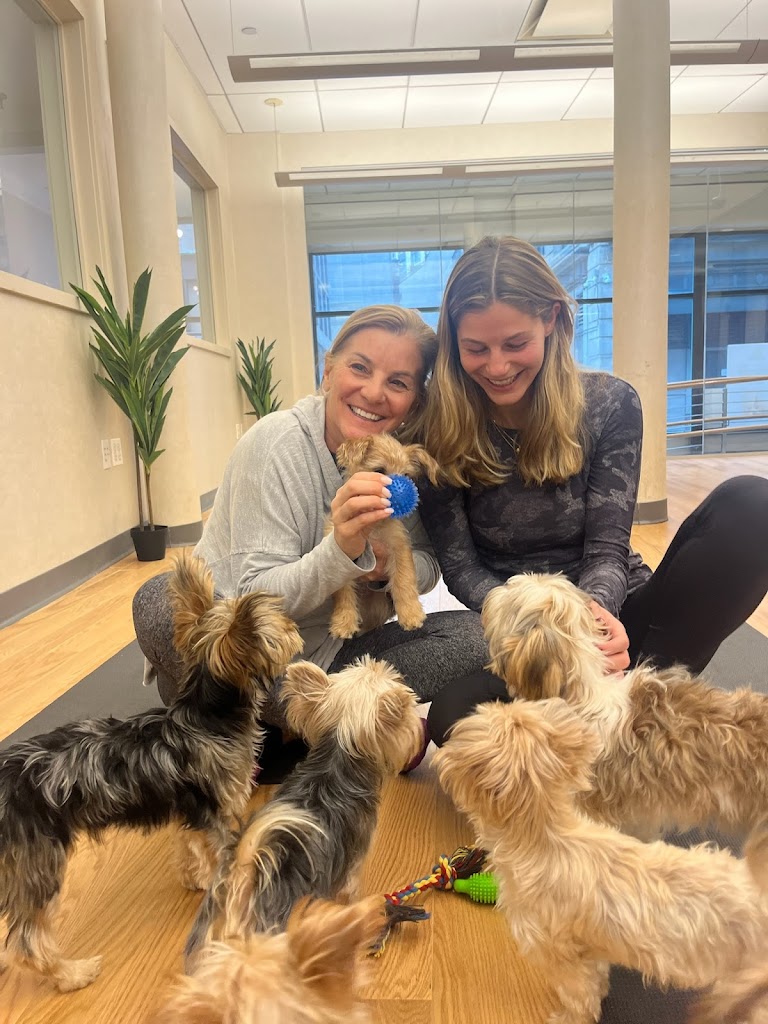 Pups&Yoga