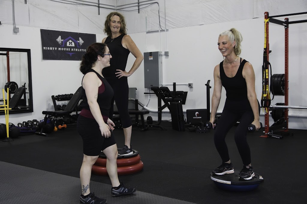  Arc Strength and Performance (by Fitness With Nina)