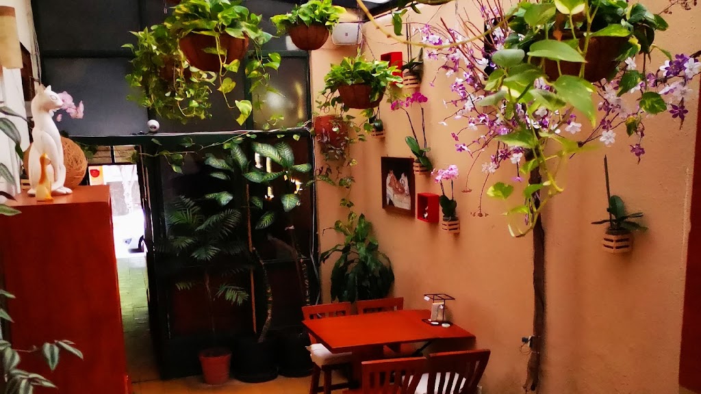 Restaurant Cafe El Gato Cafe