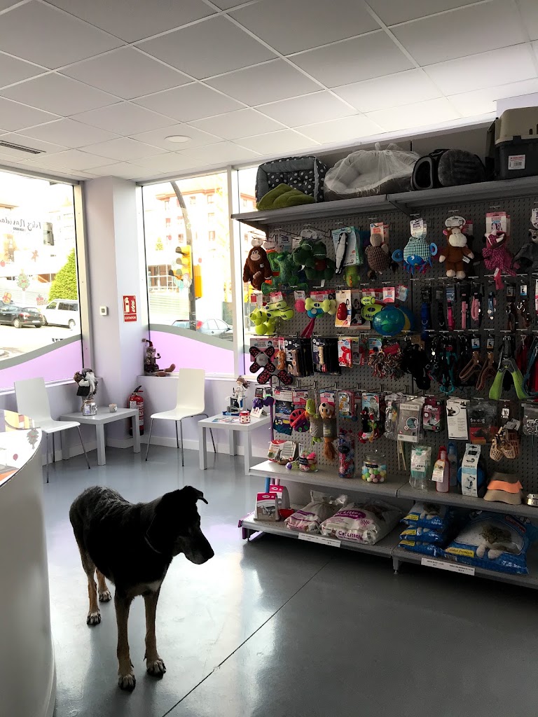 Centro Veterinario Vigil — Perro