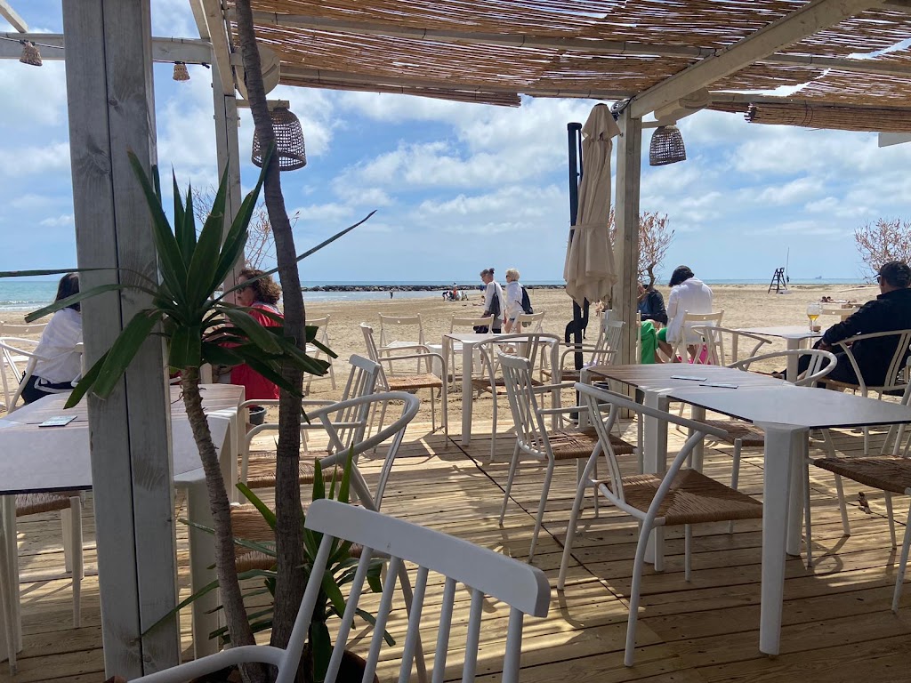 ZALE Beach House — Ambiente