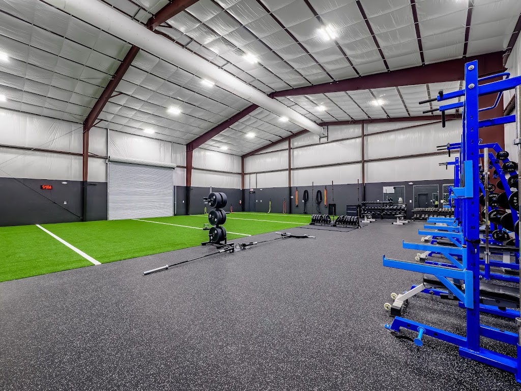  BLUEPRINT PERFORMANCE