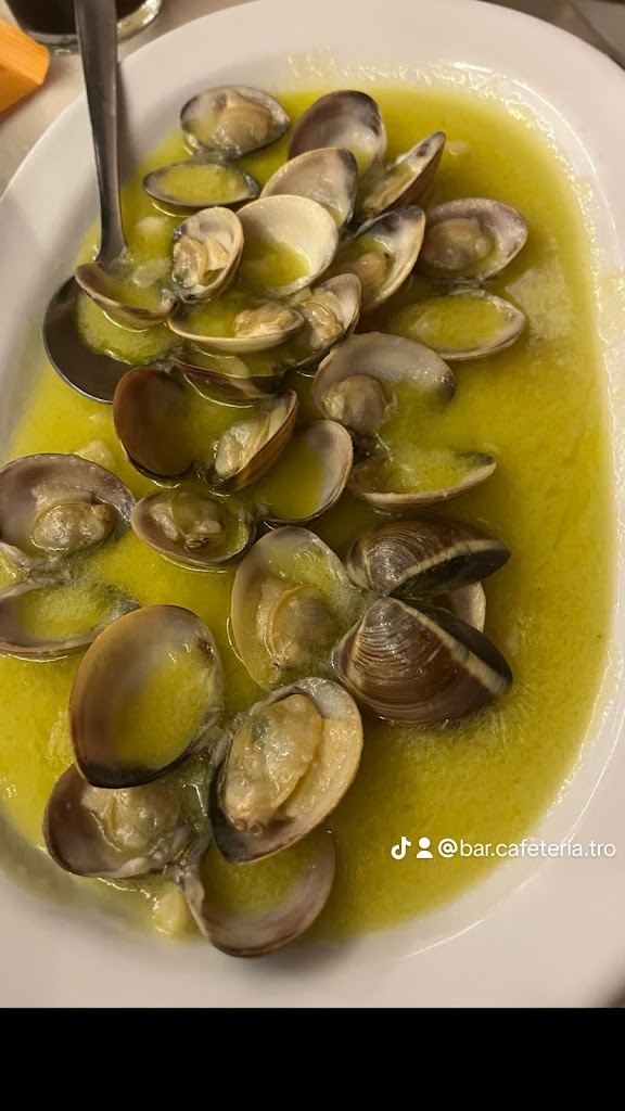 Bar cafeteria el tropezon Rocio — Del propietario