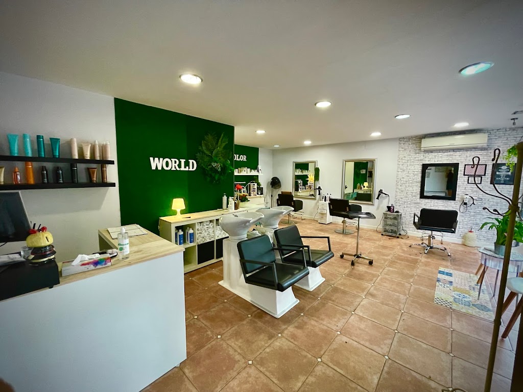 Peluqueria "World Estilistas"