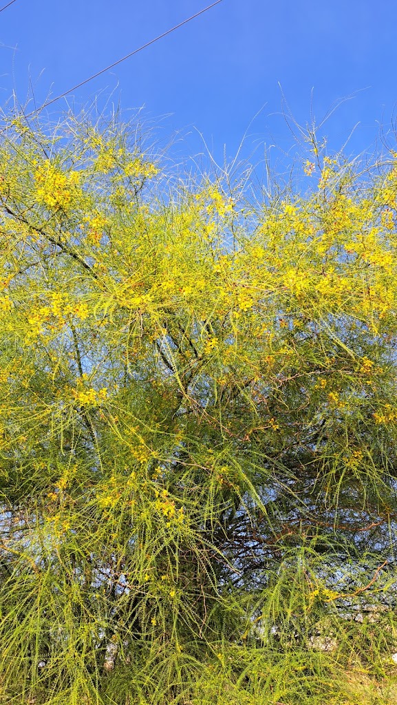 Placa Mirador de Gallecs