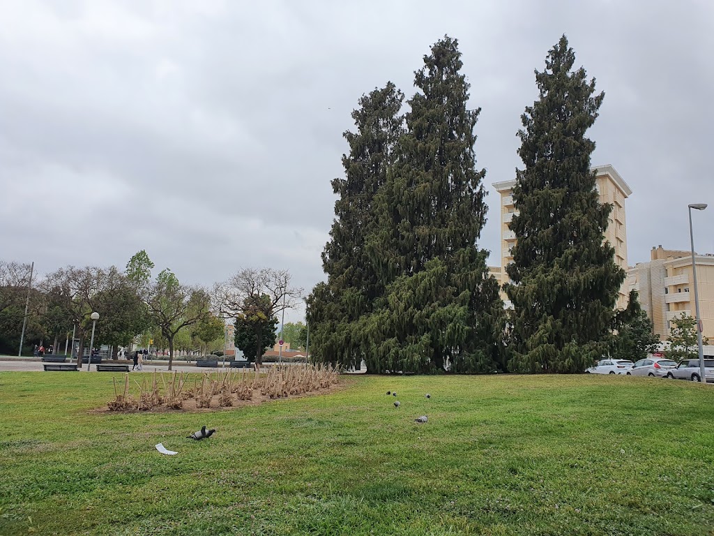 Parque de las Montanetas