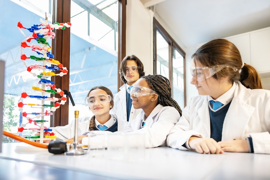 St. George's British International School