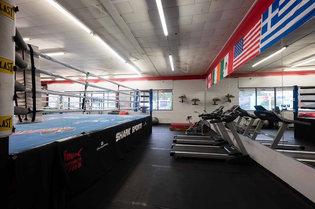  Shark Sports Boxing Gym