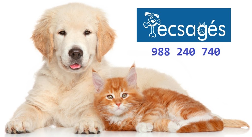 Clinica Veterinaria Tecsages