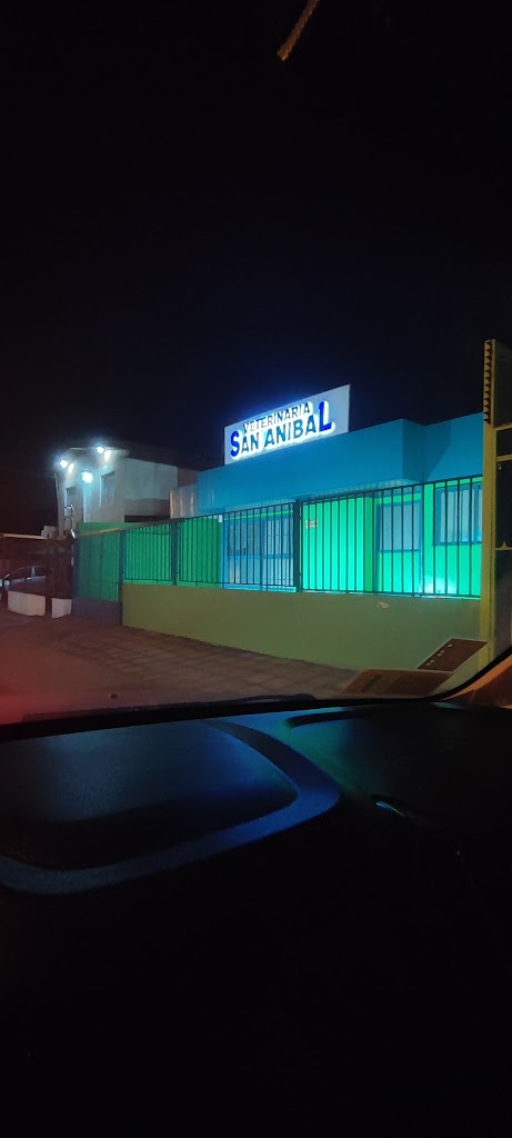 Veterinaria San Anibal en Antofagasta