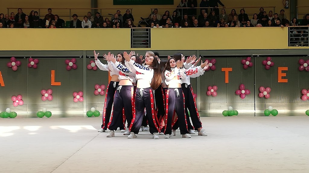 Escuela Municipal de Musica y Danza "Andres Segovia" — Del propietario