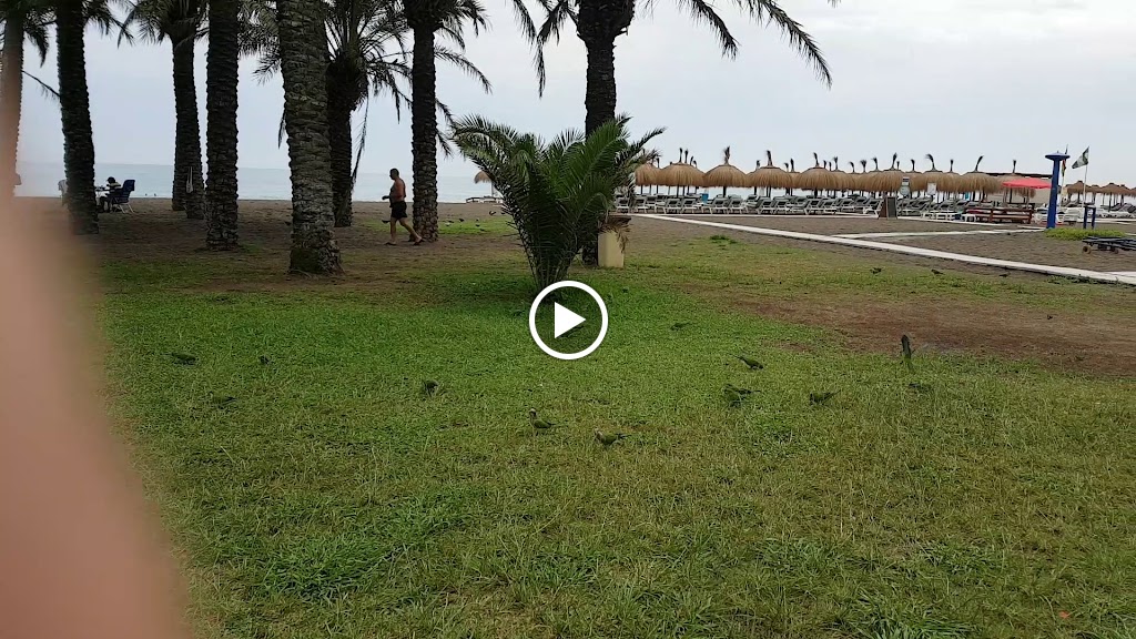 Boria Restaurante — Videos