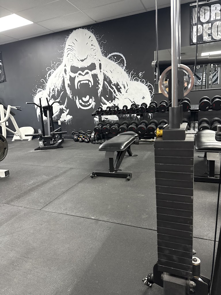  The Iron Sanctuary Lynchburg