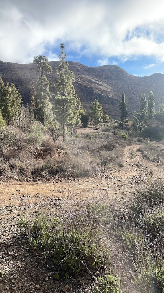Camino Cuesta de Fataga