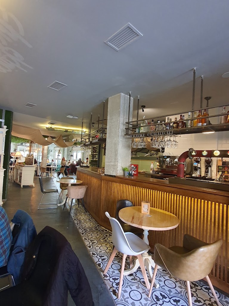 El Chico que te Gusta