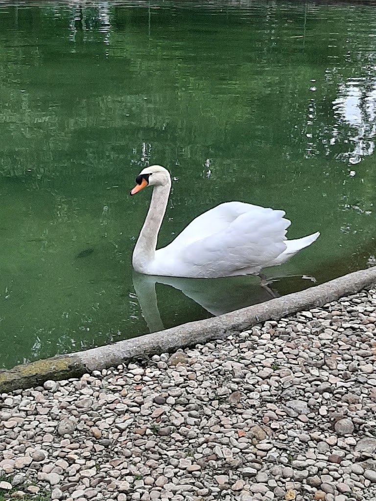 Empresa Limpiezas Gaitan con servicio en Renteria, Donostia, Lasarte, Andoain, Irun, Hondarribia