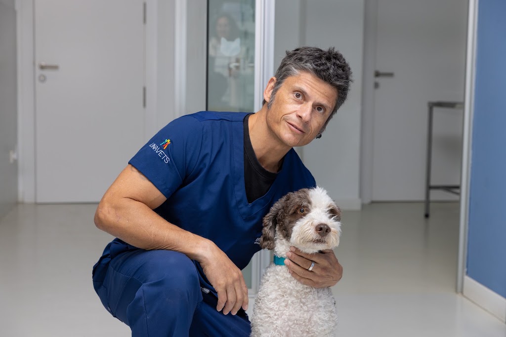 Clinica Veterinaria Irubide — Perro