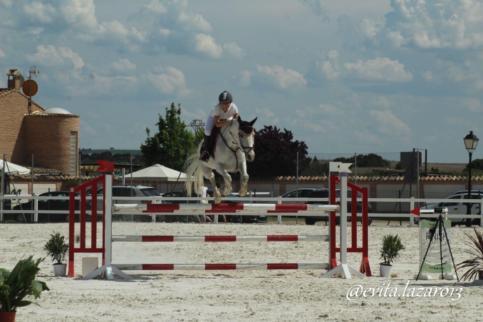 NMV Horses Escuela de Equitacion