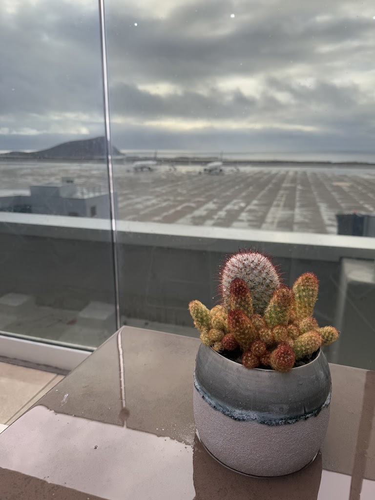 Sala VIP Montana Roja - Aeropuerto Tenerife Sur (TFS) — Comida y bebida