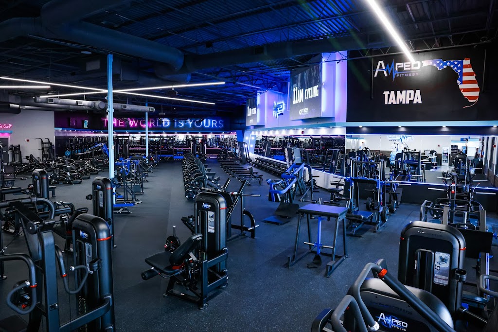  Amped Fitness (Carrollwood)