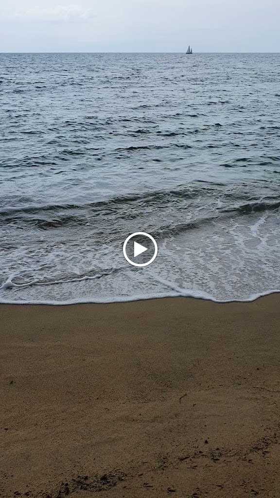 Ajuntament d'Arenys de Mar