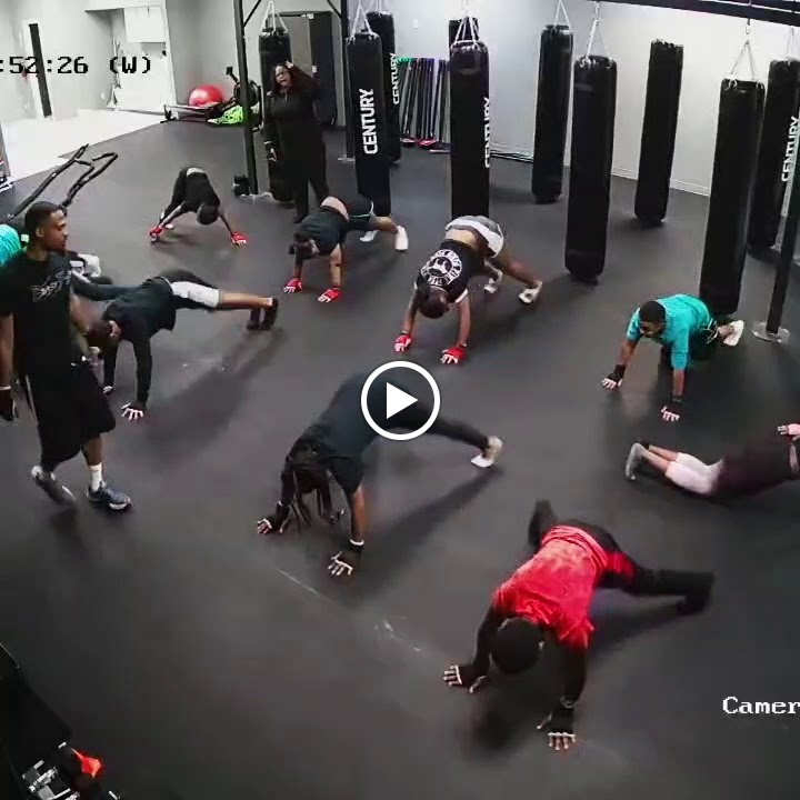  Beast FX3 Boxing and Fitness