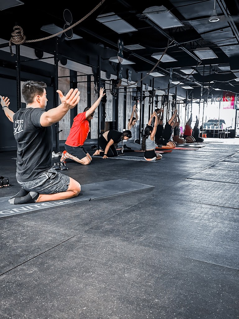  Never Falter CrossFit