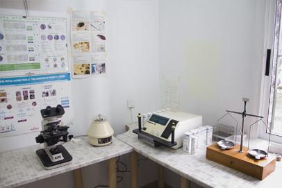 Clinica Centro Veterinario Avenida — Del propietario