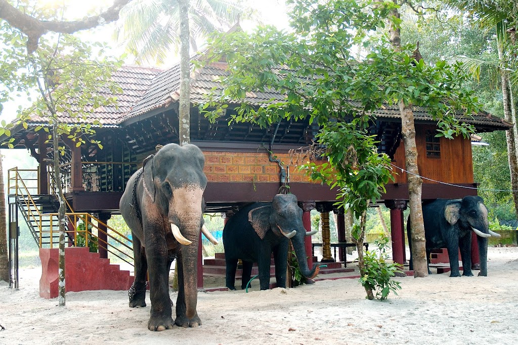 Elephant Courtyard A Heritage Homestay