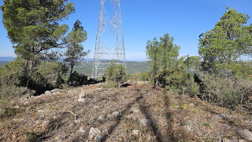 Puig d'Avenco
