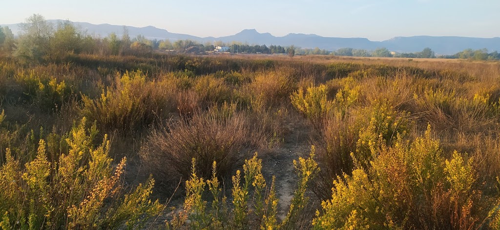 Yacimiento Arqueologico Cabriana