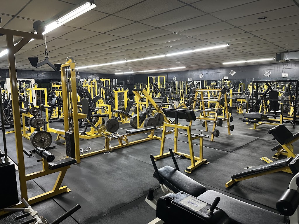  Asylum Gym - Open 24 hours