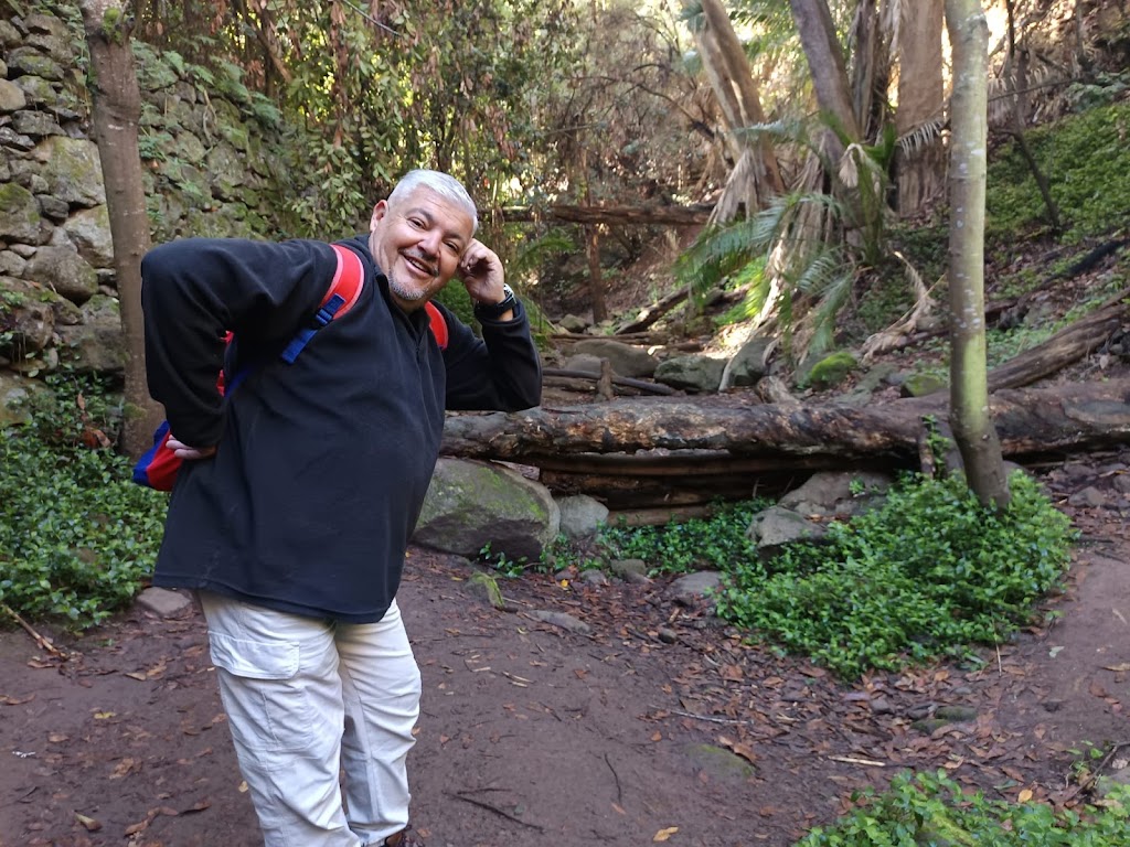 Sendero del Alamo — Mas recientes