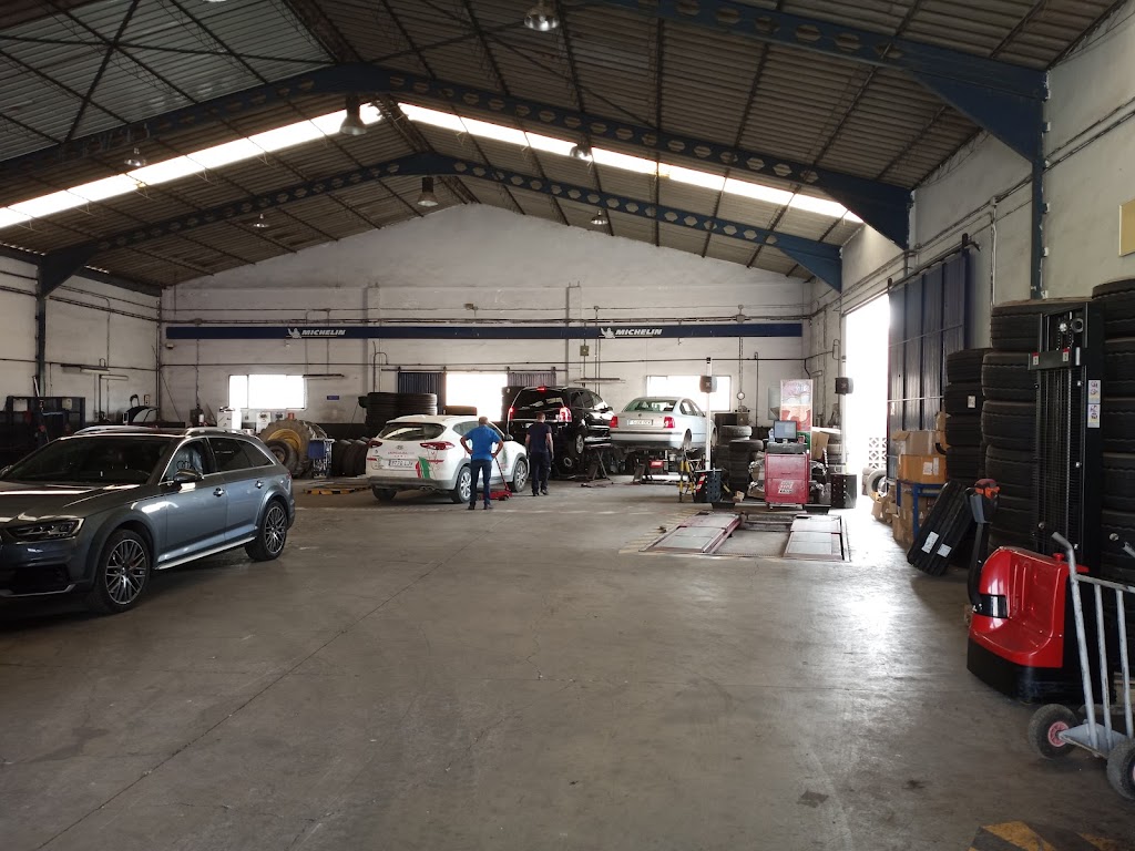 Euromaster Motril Suc. Hermanos Gonzalez