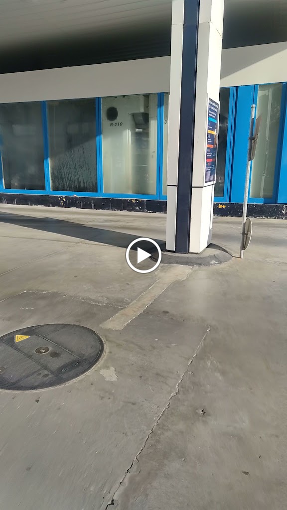 Auto Lavado