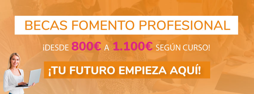 Fomento Profesional