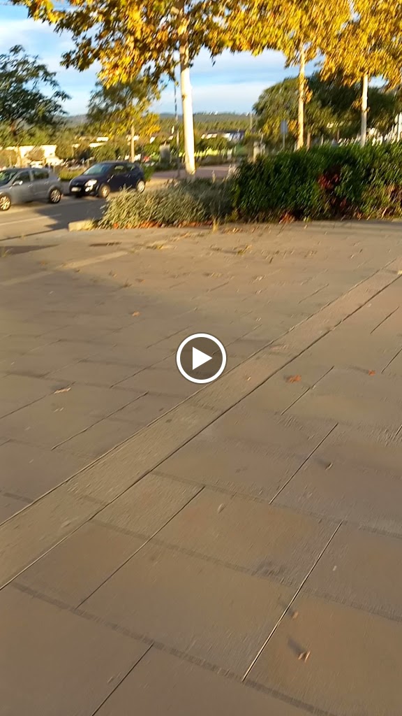 Els Cinc Pins — Videos