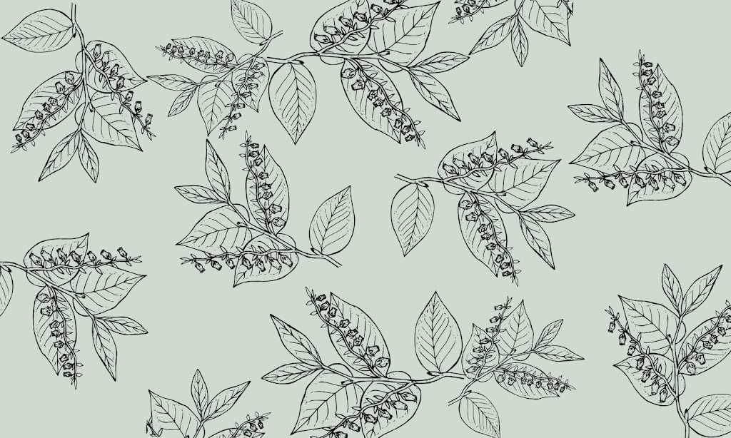  & then there was well