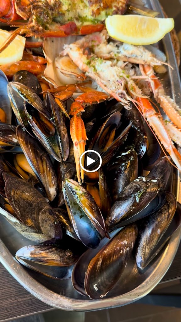 Ciro's — Videos