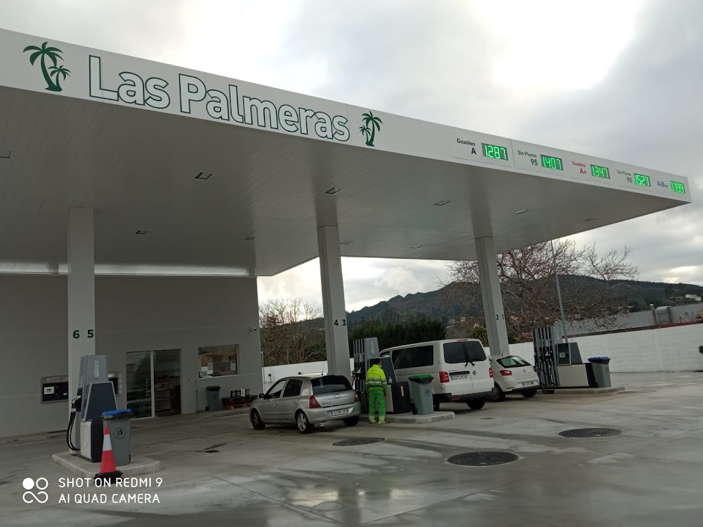 Estacion de servicio Las Palmeras Vigo