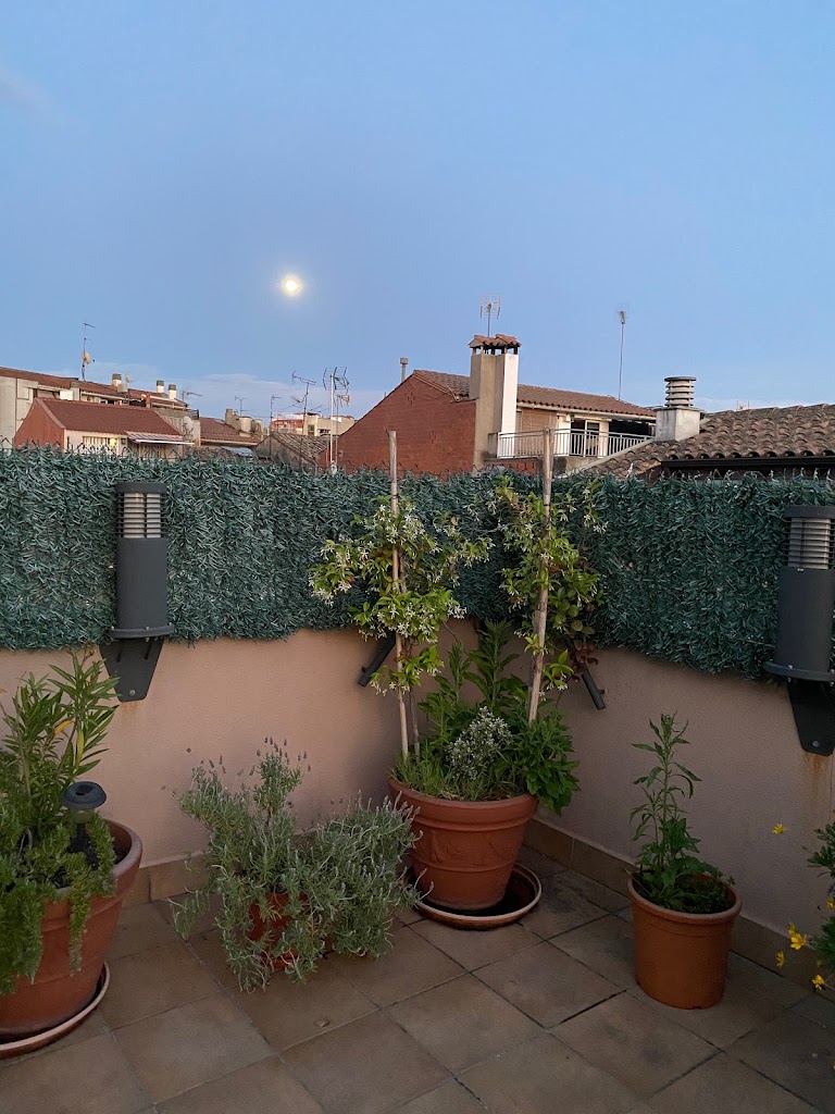 Centro De Servicios Asistenciales Amanecer