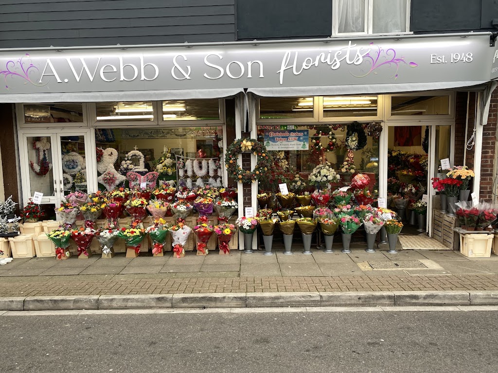 A Webb & Son