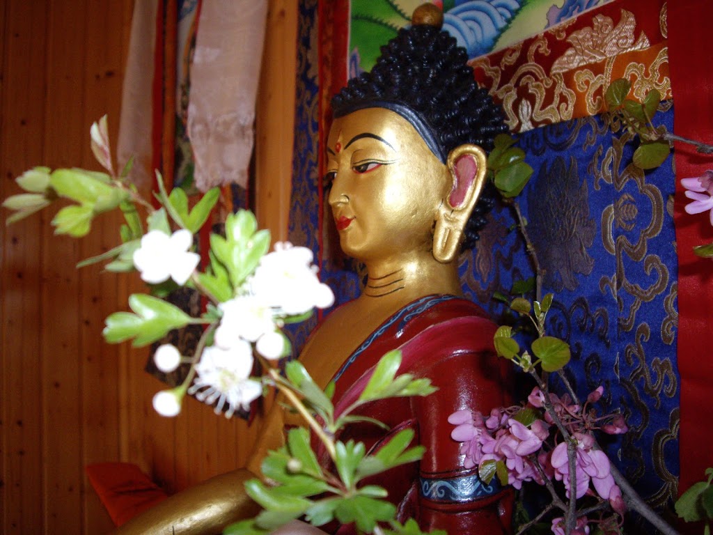 Yoga Darshana Aranjuez