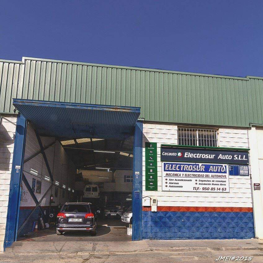 ElectrosurAuto2