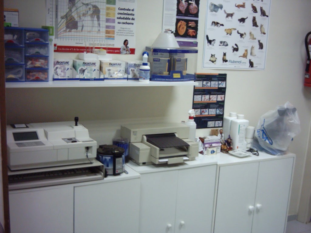 Clinica Veterinaria Dob — Del propietario