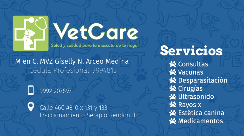 Clinica Veterinaria VetCare — Del propietario
