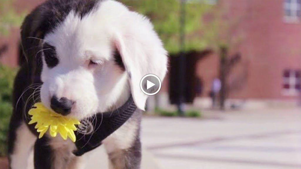  Natalie's Fitness Elements Garage