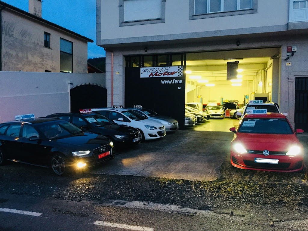 FeneMotor TALLER XXI