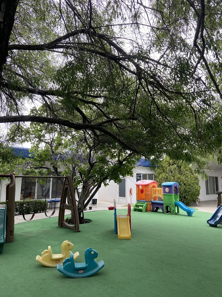 Comunidad Montessori